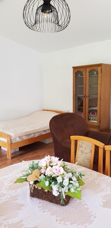 Letnisko Wiolinkowo Villa Sarnaki Kültér fotó
